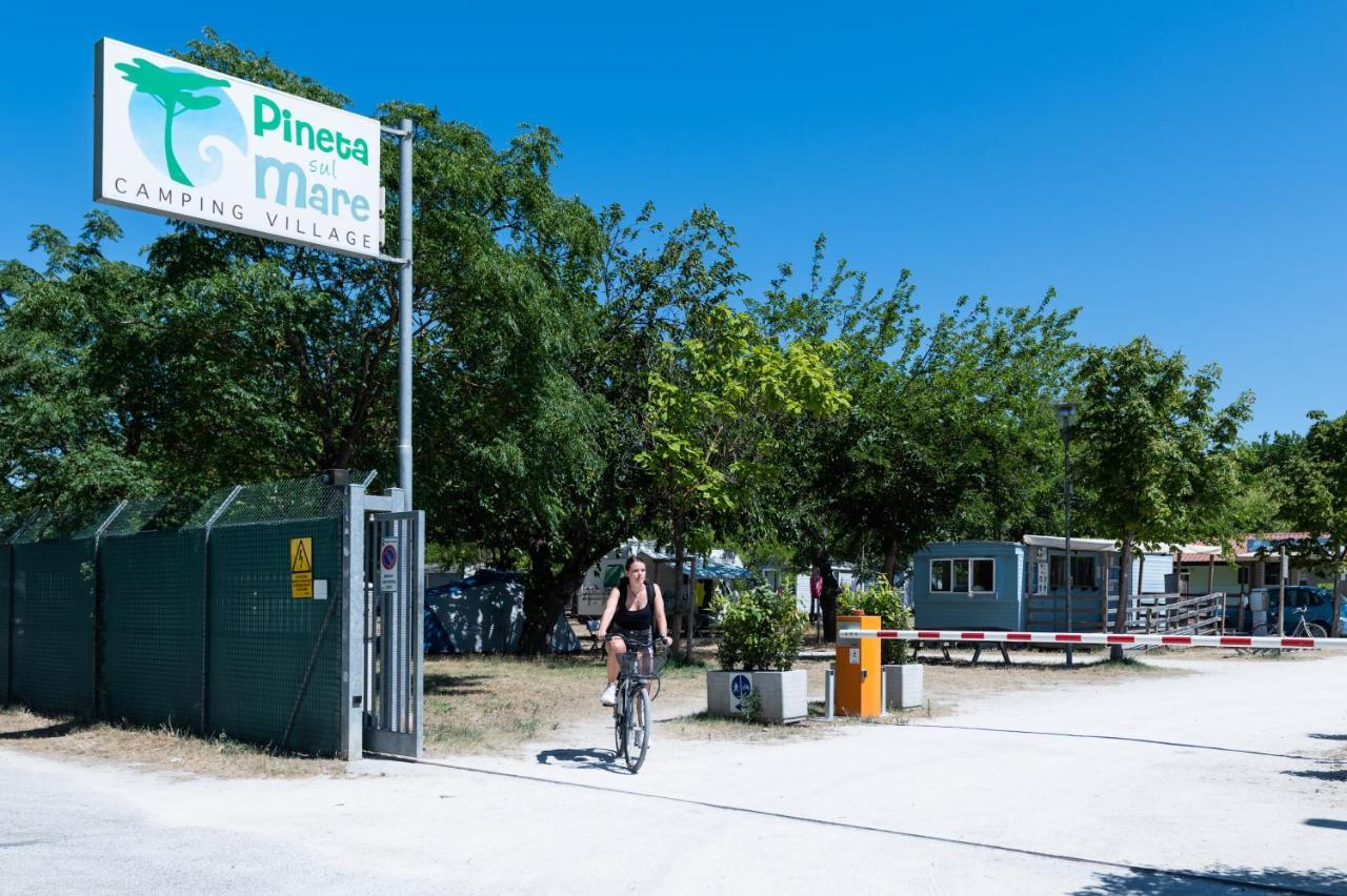 Pineta Sul Mare Camping Village Cesenatico Exteriér fotografie